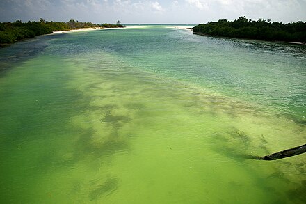 Sian Ka'an biosphere reserve