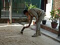 In Siem Reap - APOPO mine clearing demonstration with rats