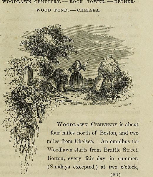 File:Sights in Boston and suburbs, or, Guide to the stranger (1856) (14761242255).jpg