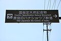 2023年6月23日 (金) 03:17時点における版のサムネイル