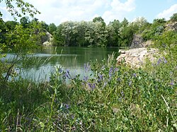 Skalka u Velimi na jaře 2011