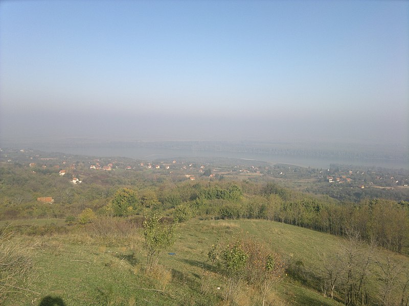 File:Slankamenački Vinogradi, Serbia - panoramio (3).jpg