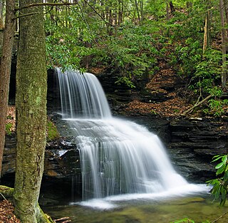 <span class="mw-page-title-main">East Keating Township, Pennsylvania</span> Township in Pennsylvania, United States