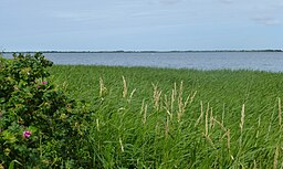 Stadil Fjord sett från Hindø