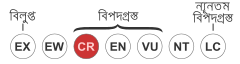 File:Status iucn3.1 CR bn.svg