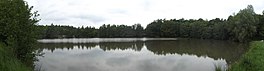 Stellbergsee Panorama 2013 026.jpg