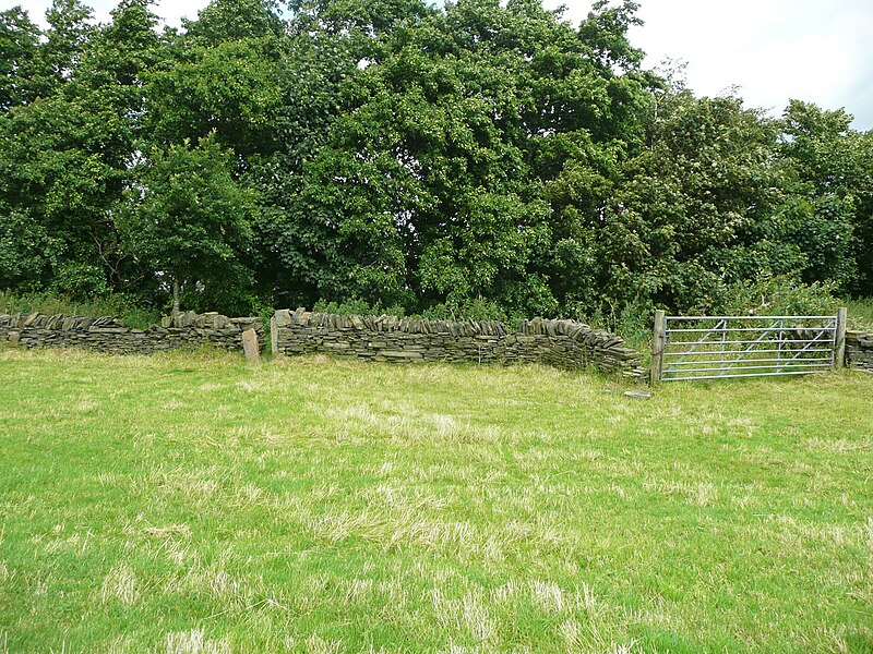 File:Stile on Brighouse FP129, Southowram - geograph.org.uk - 5034661.jpg