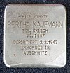 Stolperstein Varziner Str 3 (Fried) Bertha Kaufmann.jpg