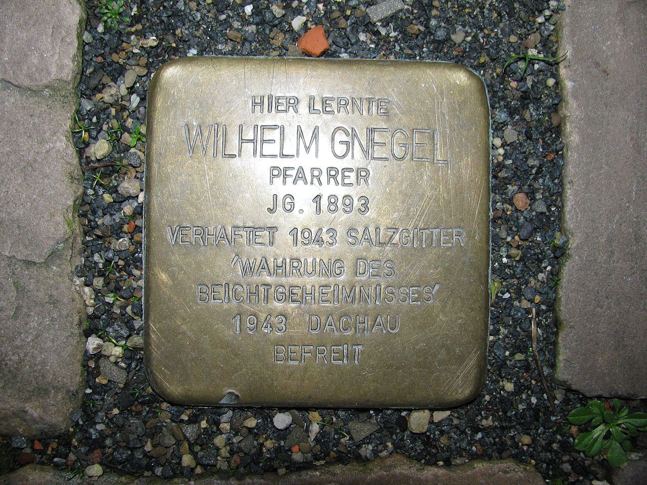 Stolperstein Wilhelm Gnegel, 1, Domhof 7, Hildesheim, Landkreis Hildesheim.jpg