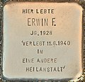 Stolperstein für Erwin F. (Lübben).jpg