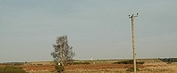 Strensall Common - geograph.org.uk - 105143