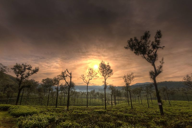 File:Sunrise in the Nilgiris.jpg
