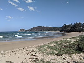 Surf Beach, Surf Beach, Novi Južni Wales, 2020.jpg