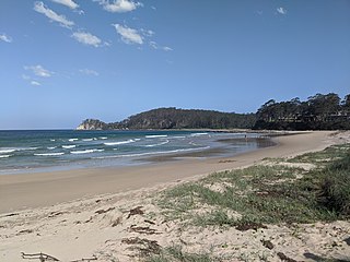 Surf Beach, New South Wales Town in New South Wales, Australia