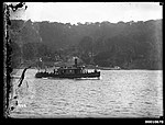 Ferry y remolcador de Sydney ANTARCTIC.jpg