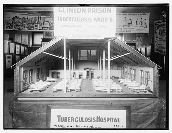 Clinton Prison Tuberculosis Ward 6, Tuberculosis Hospital