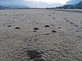 Mole hills in Interlaken, Switzerland