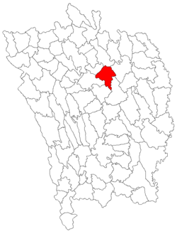 Location of Tanacu