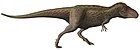 Tarbosaurus Steveoc86 flipped.jpg