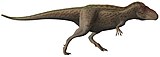 Tarbosaurus Steveoc86 flipped.jpg