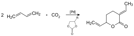 Example of telomerization of butadiene with CO2