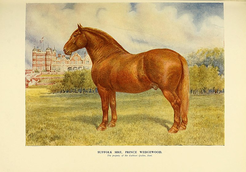 File:The new book of the horse (Pl. 22) (8536500167).jpg