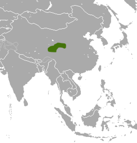 Tibetan Shrew area.png