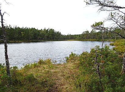 How to get to Tornbergssjön with public transit - About the place