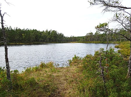 Tornbergssjön, sept 2018