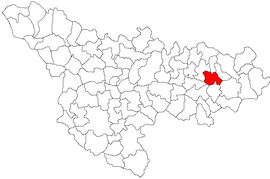 Location in Timiș County