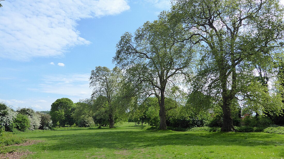 Foots Cray Meadows