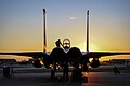 U.S. Air Force F-15E Strike Eagle sits after shortly landing at Incirlik Air Base, Turkey (22467750704).jpg