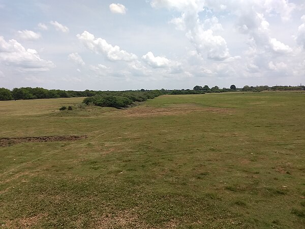 Image: Vaduvoor Bird Sanctuary in April 2