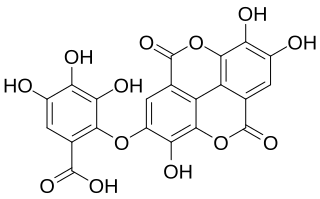 Valoneic acid dilactone Chemical compound