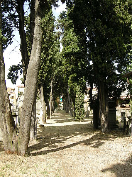 File:Vecchio cimitero ebraico di firenze 02.JPG