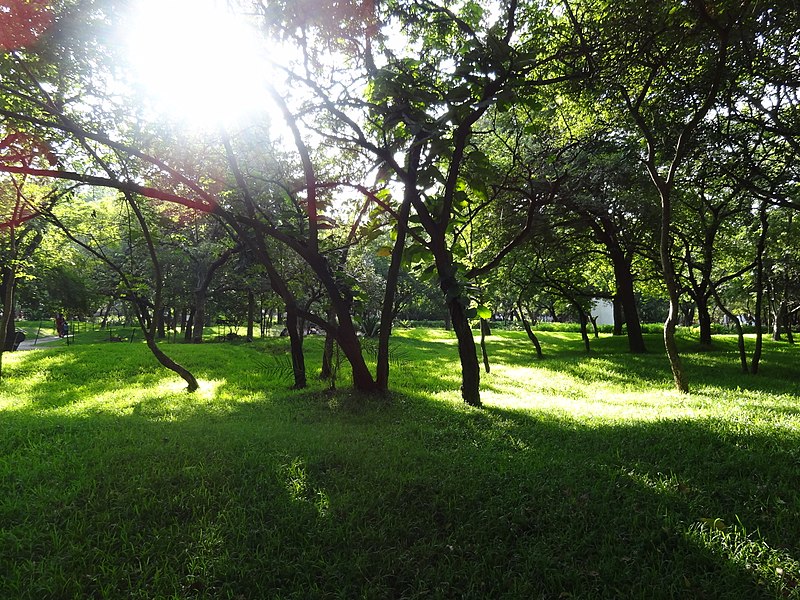 File:View inside Children's Park at Guindy, Chennai, India - panoramio.jpg