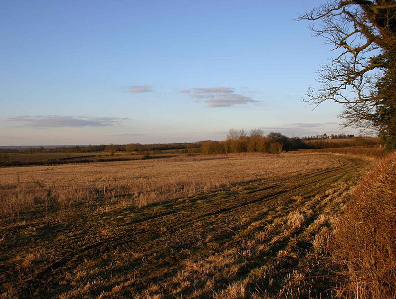 File:View north from New Road - geograph.org.uk - 1736142.jpg