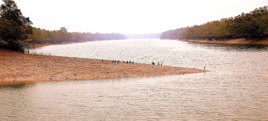 Der Fluss Ganges in den Sundarbans