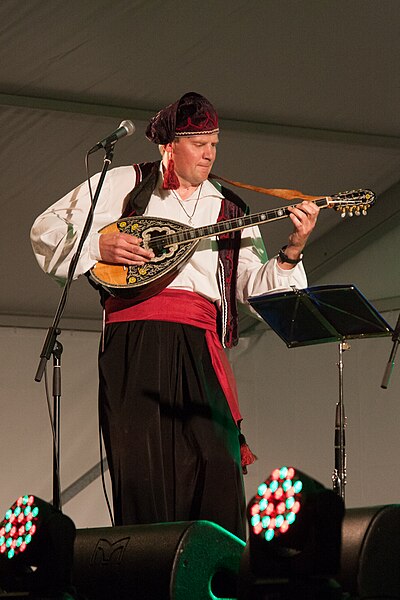 File:Viljandi folk music festival muscian.JPG