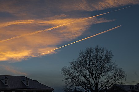 Virginia Beach City Hall sunset