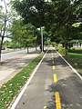 Vista de ciclo-ruta en la Avenida Juan Isidro Daboín.jpg