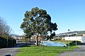 Vista de la fuente de parque Bizkotxalde de Basauri