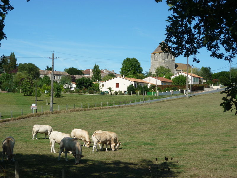 File:Vue-Saint-Méard-de-Gurçon1.jpg