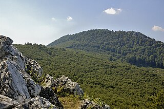 Vysoká (Carpathian mountain) mountain in the Little Carpathians mountains