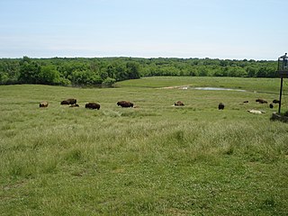 <span class="mw-page-title-main">Wildlife Prairie Park</span> Animal and nature park in Illinois, U.S.