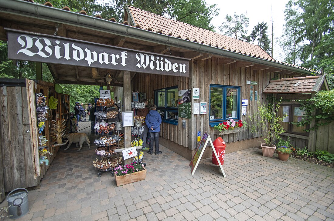 File:WildparkMüden Kasse.jpg