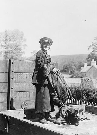 <span class="mw-page-title-main">Railway porter</span> Railway worker who assists passengers