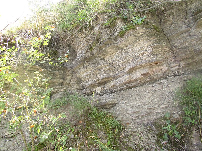 File:Zalishchyky bed of Lower Devonian.jpg