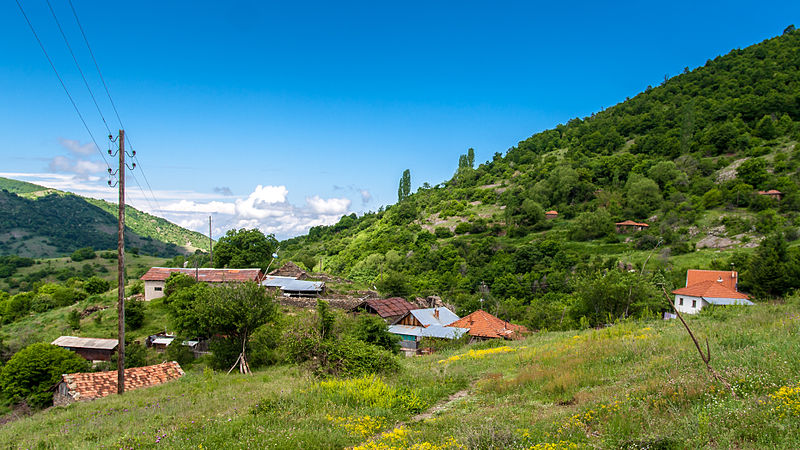 File:Панорама на селото Близанци.jpg