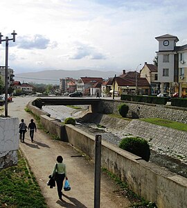 Сурдулица: Историја, Географија, Индустрија